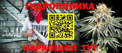 соль ск Будённовск