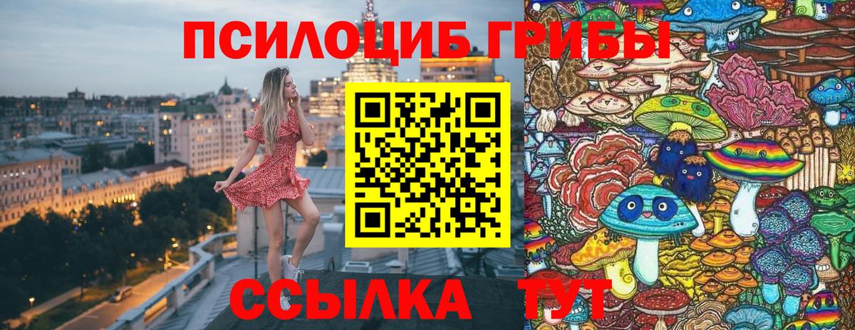 Галлюциногенные грибы GOLDEN TEACHER Краснокамск